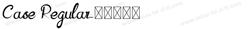 Case Regular字体转换